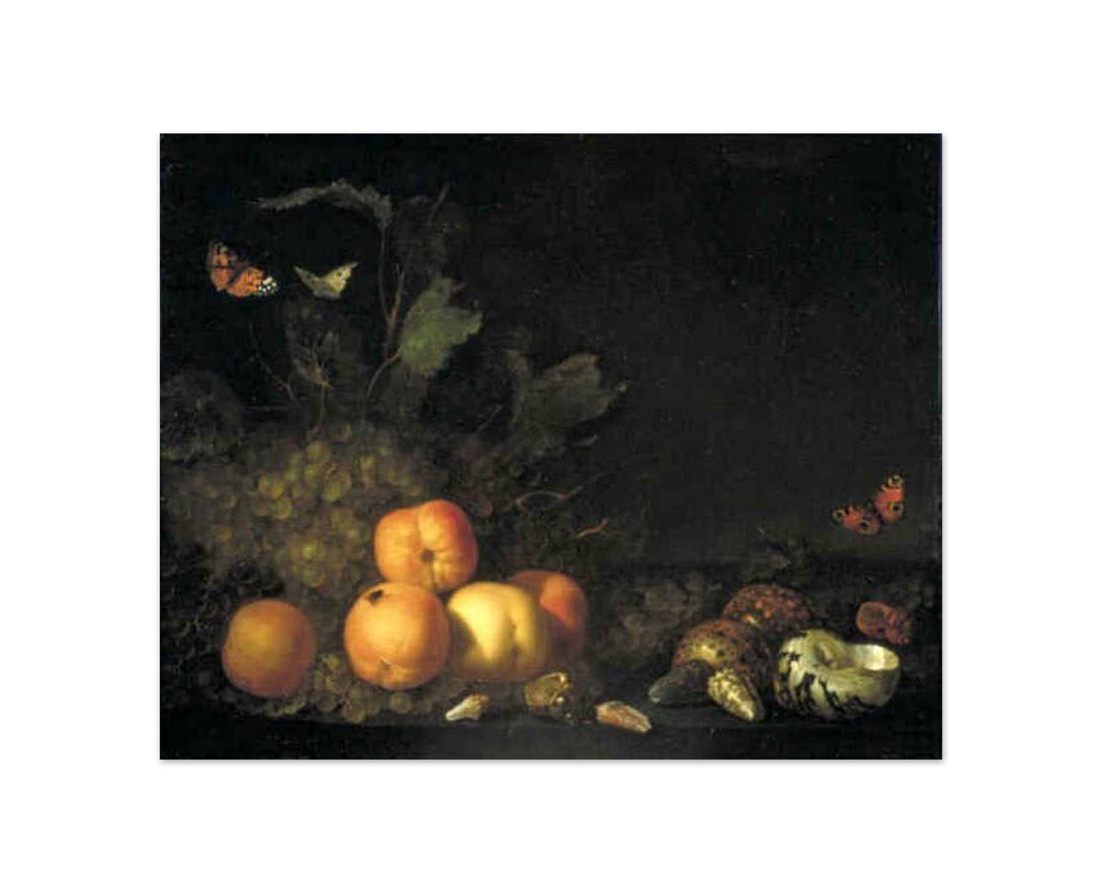 Abraham van Calraet - Still Life with Fruits and Shells - Compact / Full Bleed / No Frame