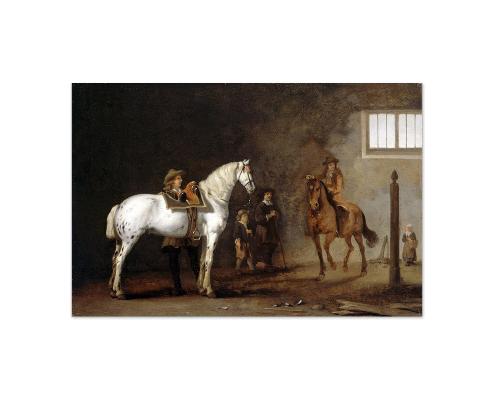 Abraham van Calraet - White Horse in a Riding School - Compact / Full Bleed / No Frame
