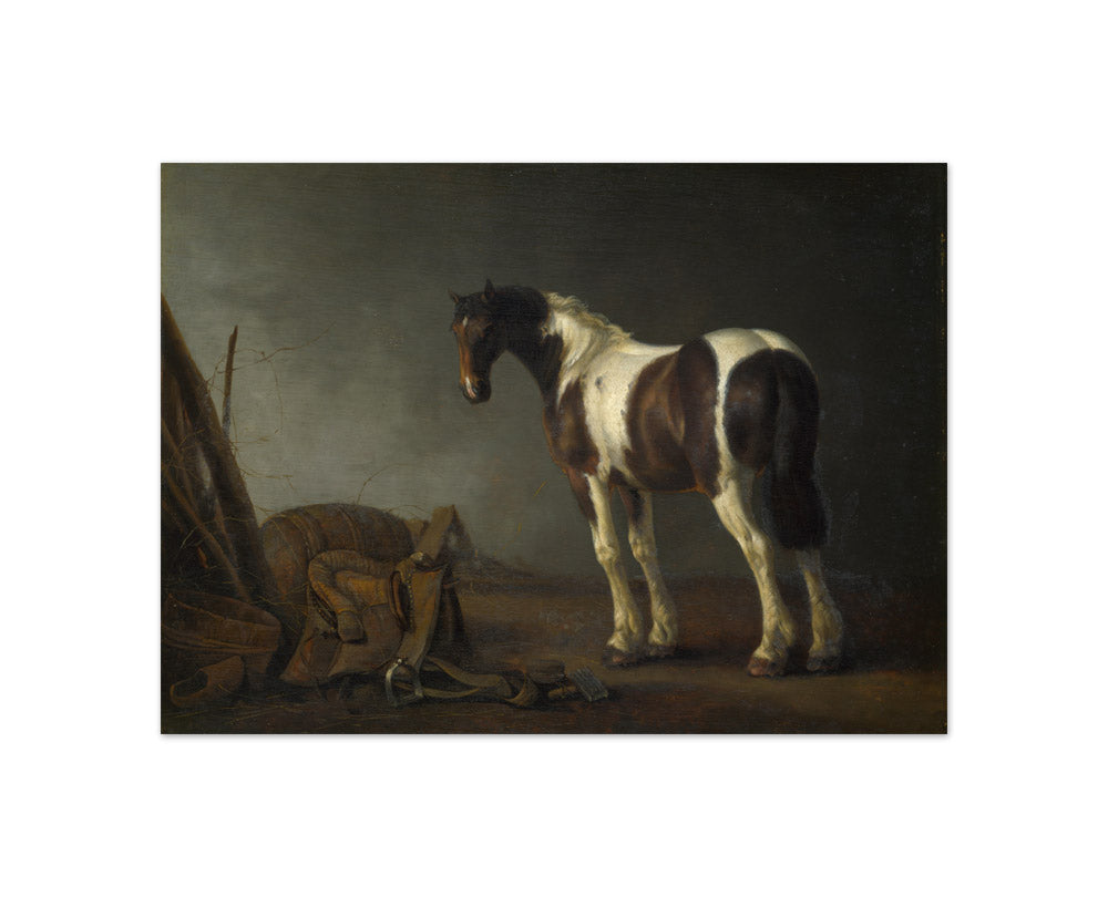 Abraham van Calraet - Horse with a Saddle - Compact / Full Bleed / No Frame