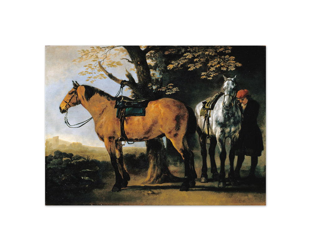 Abraham van Calraet - Two Horses - Compact / Full Bleed / No Frame