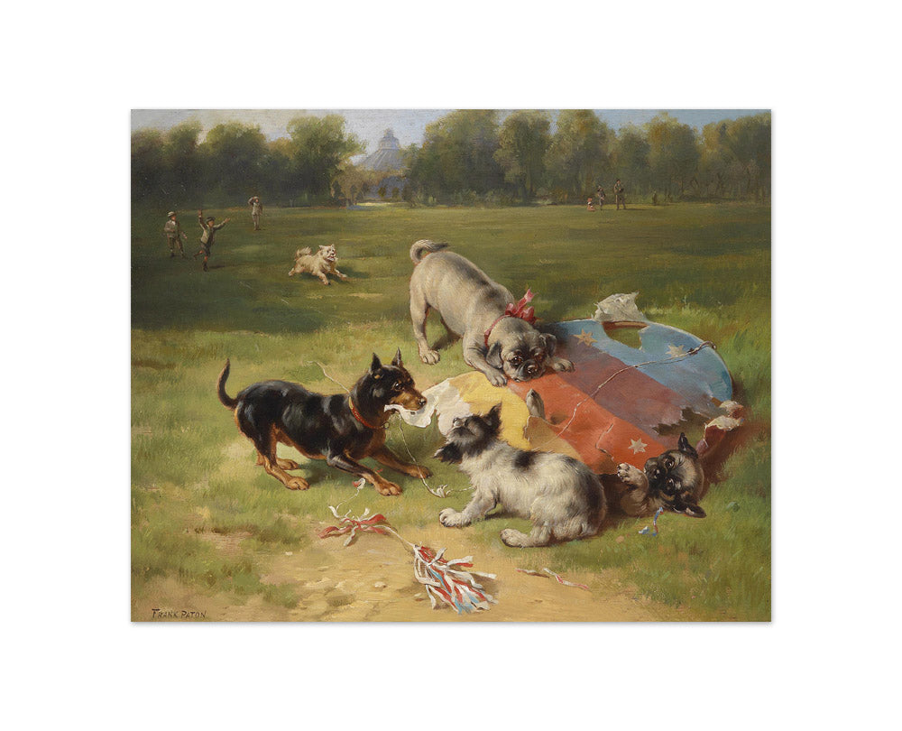 Frank Paton - A Found Toy - Compact / Full Bleed / No Frame