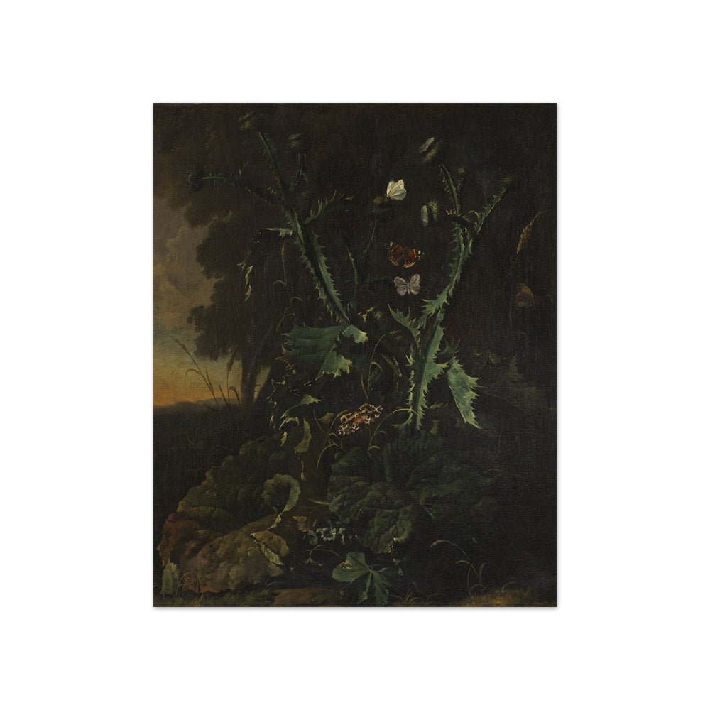 Abraham Jansz Begeyn - Still Life with Thistles and Butterflies - Compact / Full Bleed / No Frame