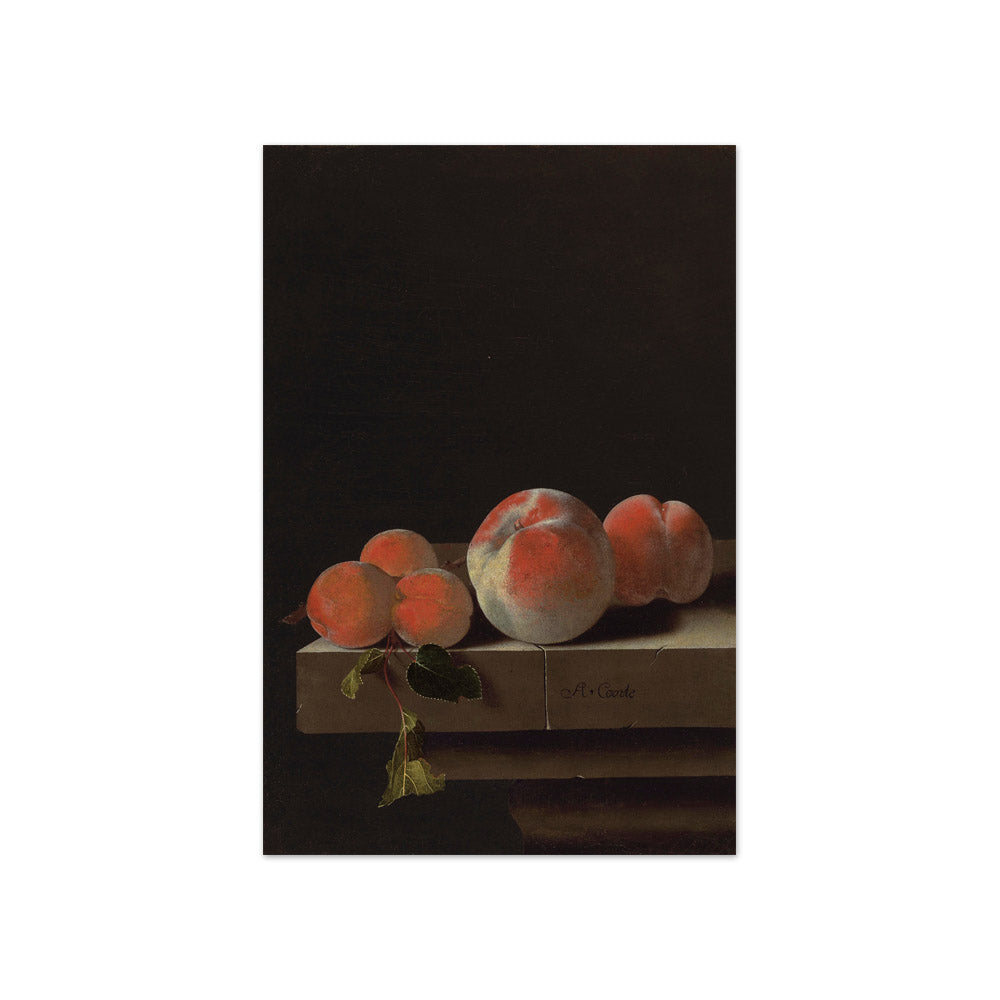 Adriaen Coorte - Peaches and Apricots on a Stone Ledge - Compact / Full Bleed / No Frame