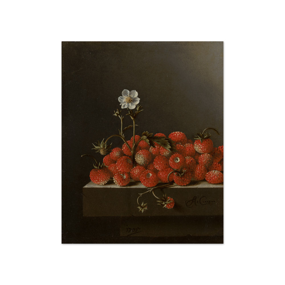 Adriaen Coorte - Still Life with Wild Strawberries - Compact / Full Bleed / No Frame