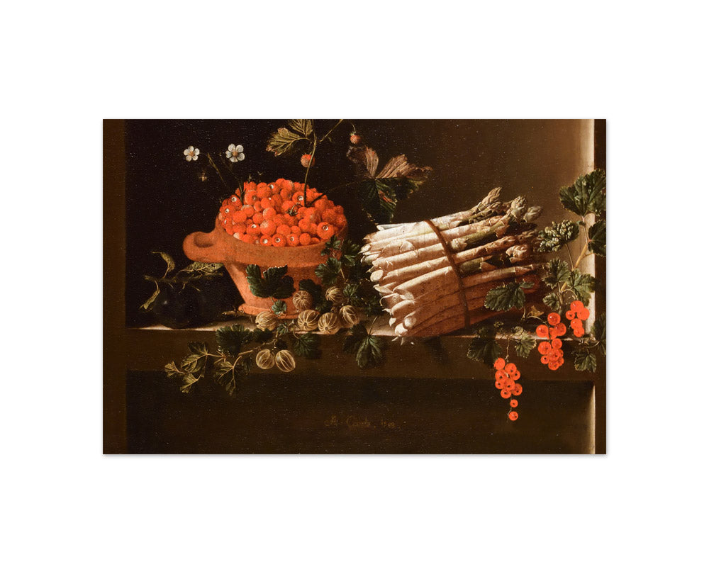 Adriaen Coorte - Still Life with Fruit and Asparagus - Compact / Full Bleed / No Frame