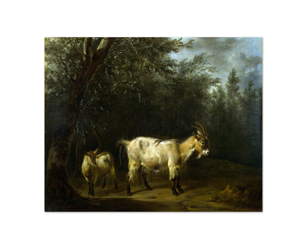 Adriaen van de Velde - Goat and Kid - Compact / Full Bleed / No Frame