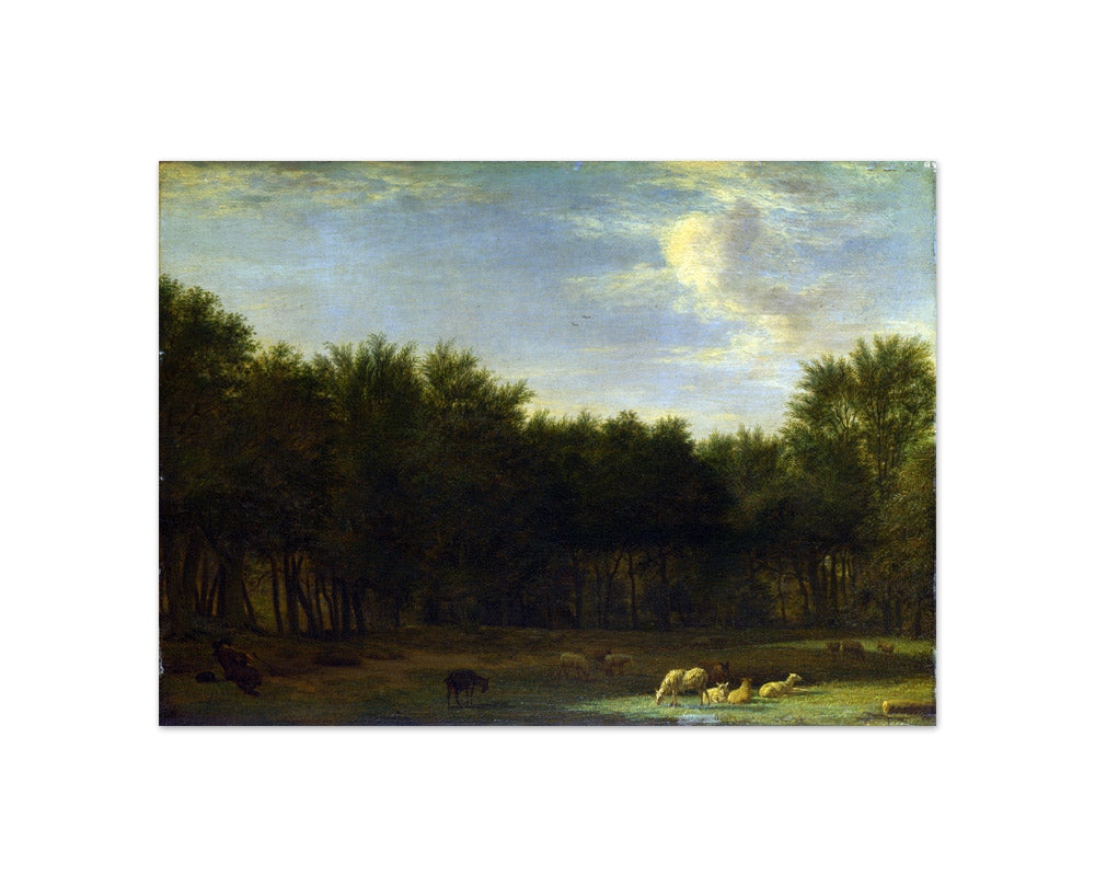 Adriaen van de Velde - The Edge of a Wood, with a Sleeping Shepherd, Sheep and Goats - Compact / Full Bleed / No Frame