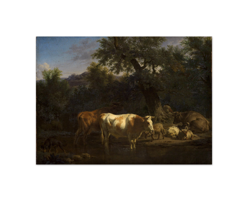 Adriaen van de Velde - Cows and Sheep in a Wood - Compact / Full Bleed / No Frame