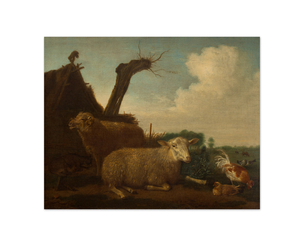 Adriaen van de Velde - Sheep and Ram - Compact / Full Bleed / No Frame