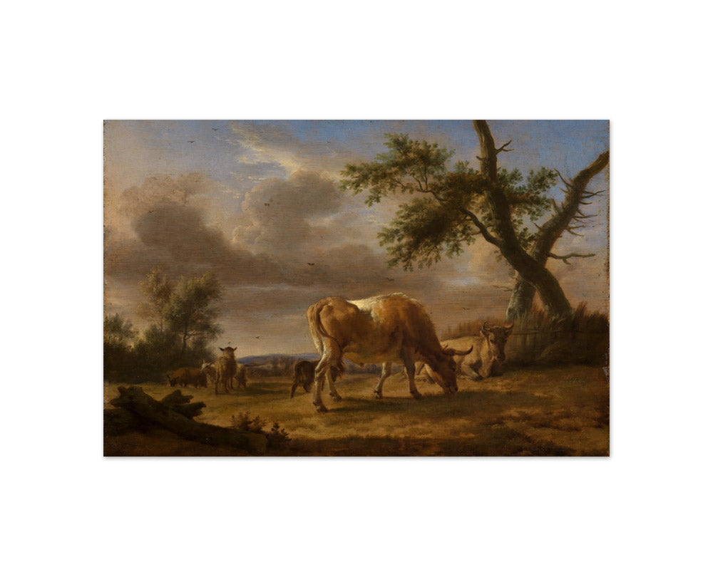 Adriaen van de Velde - Grazing Cows and Sheep - Compact / Full Bleed / No Frame