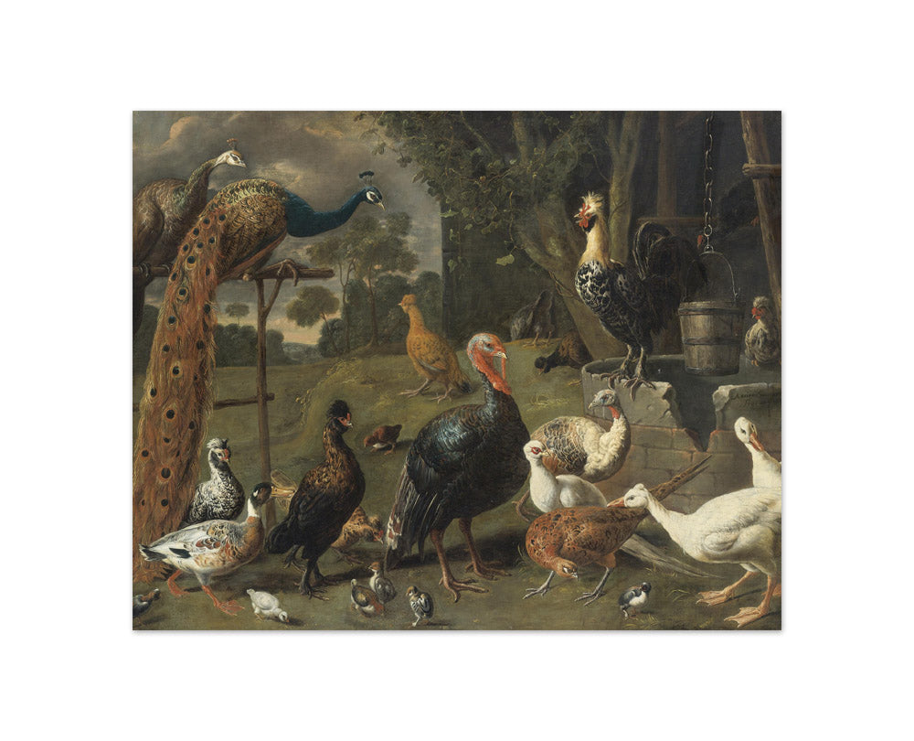 Adriaen van Utrecht - Peacock and Peahen on a Perch, Turkeys, a Pheasant and Poultry by a Well - Compact / Full Bleed / No Frame