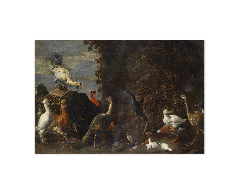 Adriaen van Utrecht - Poultry Yard - Compact / Full Bleed / No Frame