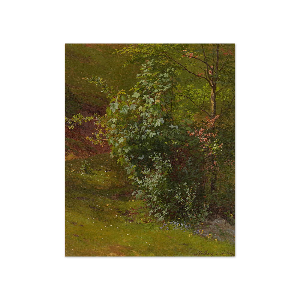 Ludwig Richter - Study of Trees - Compact / Full Bleed / No Frame