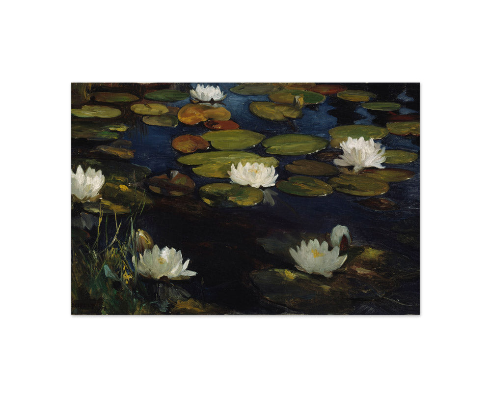 Albert Edelfelt - Water Lilies - Compact / Full Bleed / No Frame