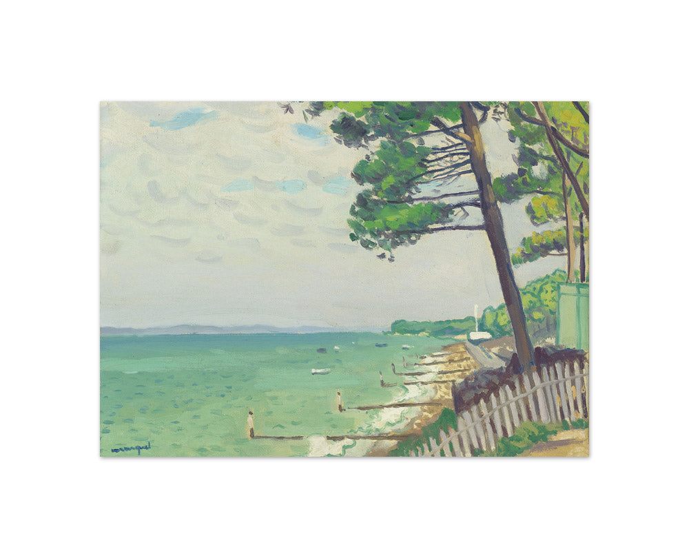 Albert Marquet - Pines at Pyla - Compact / Full Bleed / No Frame