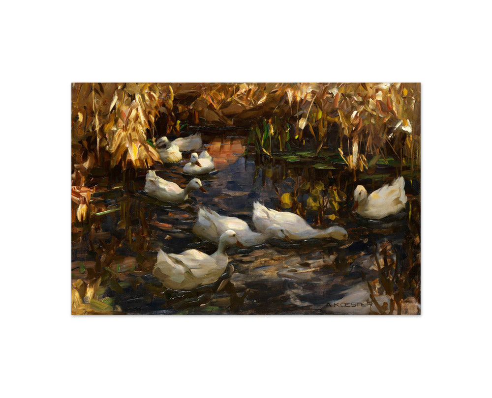 Alexander Koester - Ducks on the Banks of a Pond - Compact / Full Bleed / No Frame