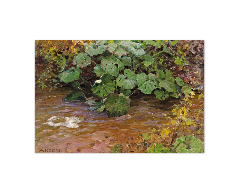 Alexander Koester - Plants by the Water - Compact / Full Bleed / No Frame