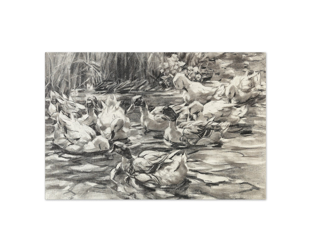 Alexander Koester - Ducks in Reeds - Compact / Full Bleed / No Frame