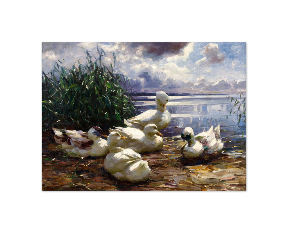 Alexander Koester - Ducks on Lake Chiemsee in a Brewing Storm - Compact / Full Bleed / No Frame