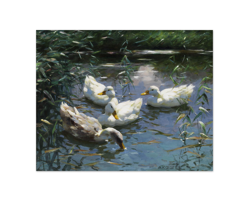Alexander Koester - Four Ducks in the Pond - Compact / Full Bleed / No Frame