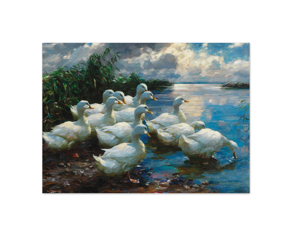 Alexander Koester - Ducks by a Lake - Compact / Full Bleed / No Frame
