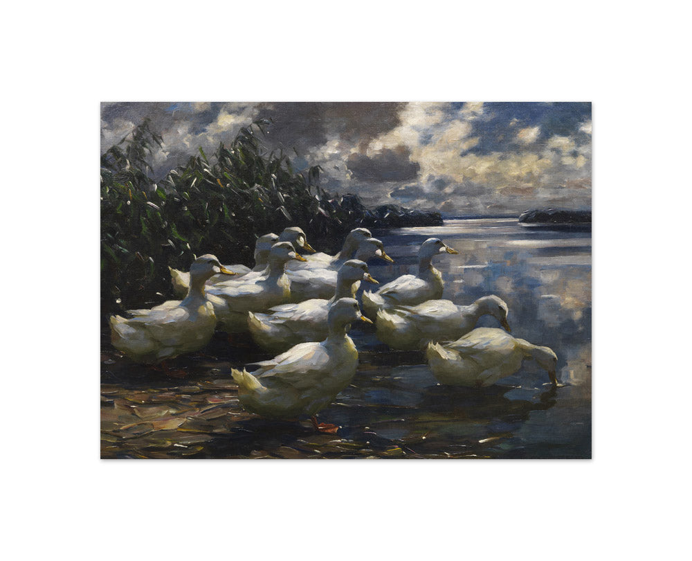 Alexander Koester - Ducks in the Morning Sun - Compact / Full Bleed / No Frame
