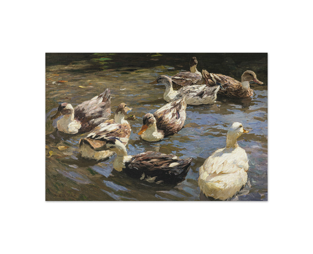Alexander Koester - Eight Ducks by the Water - Compact / Full Bleed / No Frame