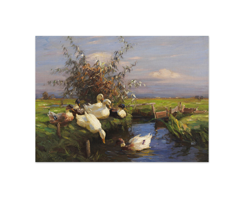 Alexander Koester - Seven Ducks by the Ditch - Compact / Full Bleed / No Frame