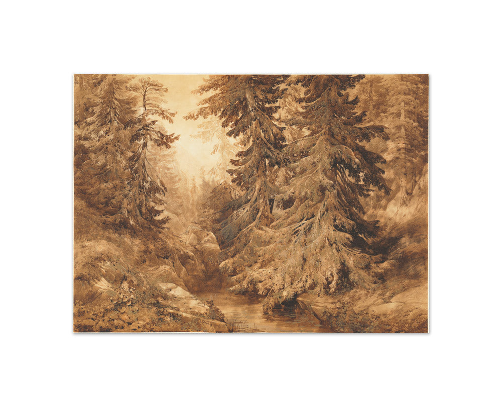 Alexandre Calame - An Ancient Pine Forest with a Mountain Stream - Compact / Full Bleed / No Frame