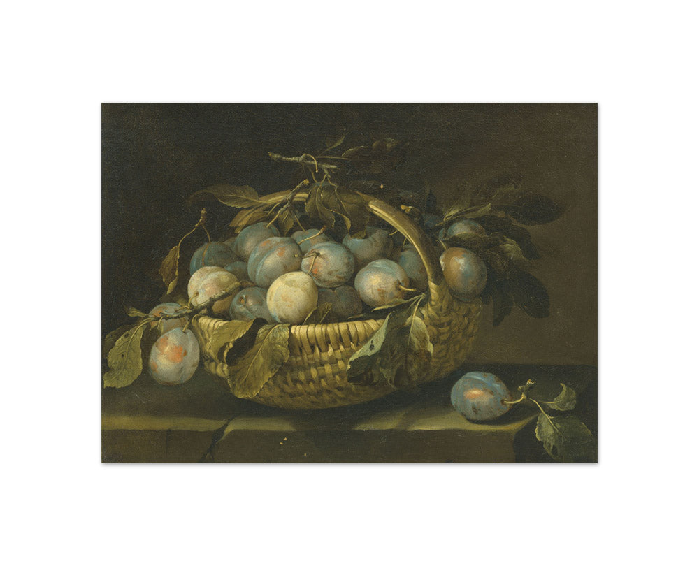 Alexandre François Desportes - A Basket of Plums on a Ledge - Compact / Full Bleed / No Frame