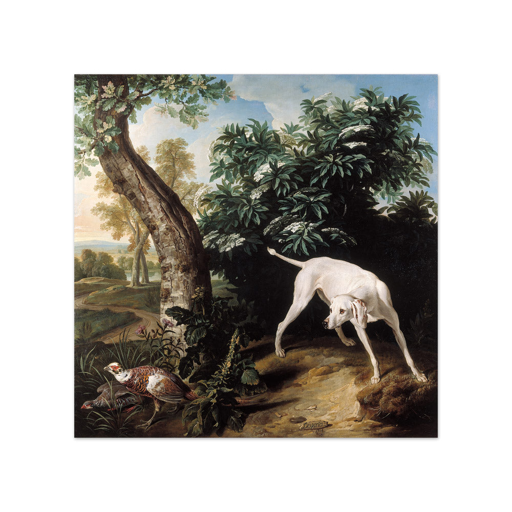 Alexandre François Desportes - White Dog - Compact / Full Bleed / No Frame