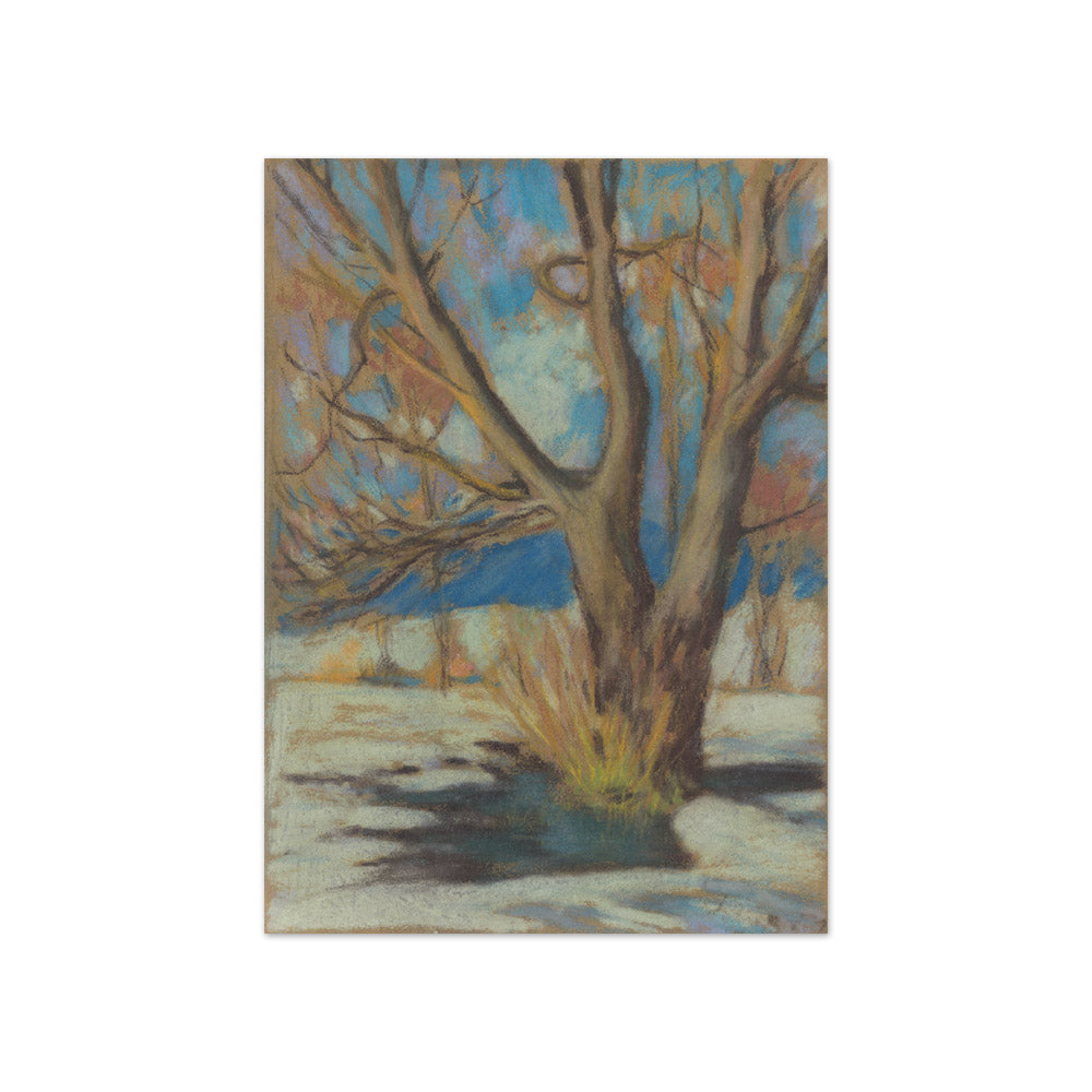 Zoltán Palugyay - Winter Study of a Tree - Compact / Full Bleed / No Frame