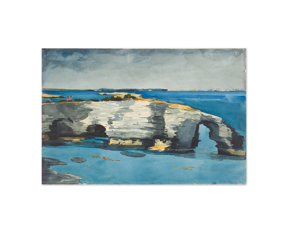 Winslow Homer - Coral Formation - Compact / Full Bleed / No Frame