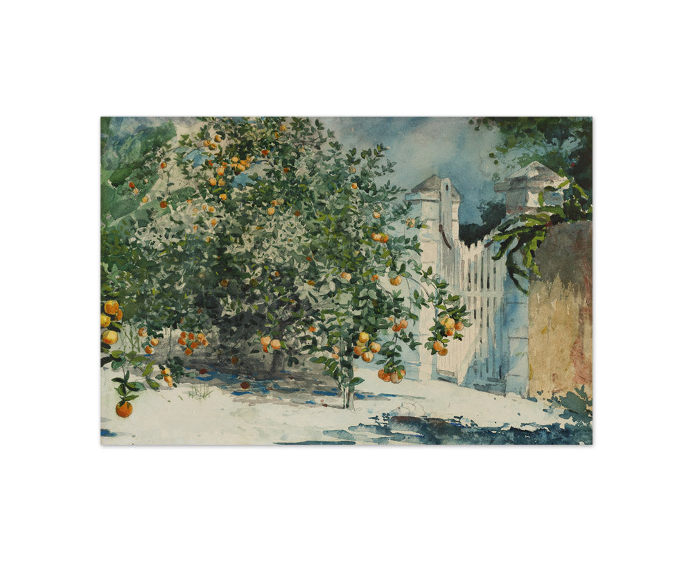 Winslow Homer - Orange Trees and Gate - Compact / Full Bleed / No Frame
