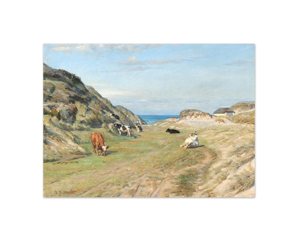 N.P. Mols - From Kandestederne. September Day - Compact / Full Bleed / No Frame