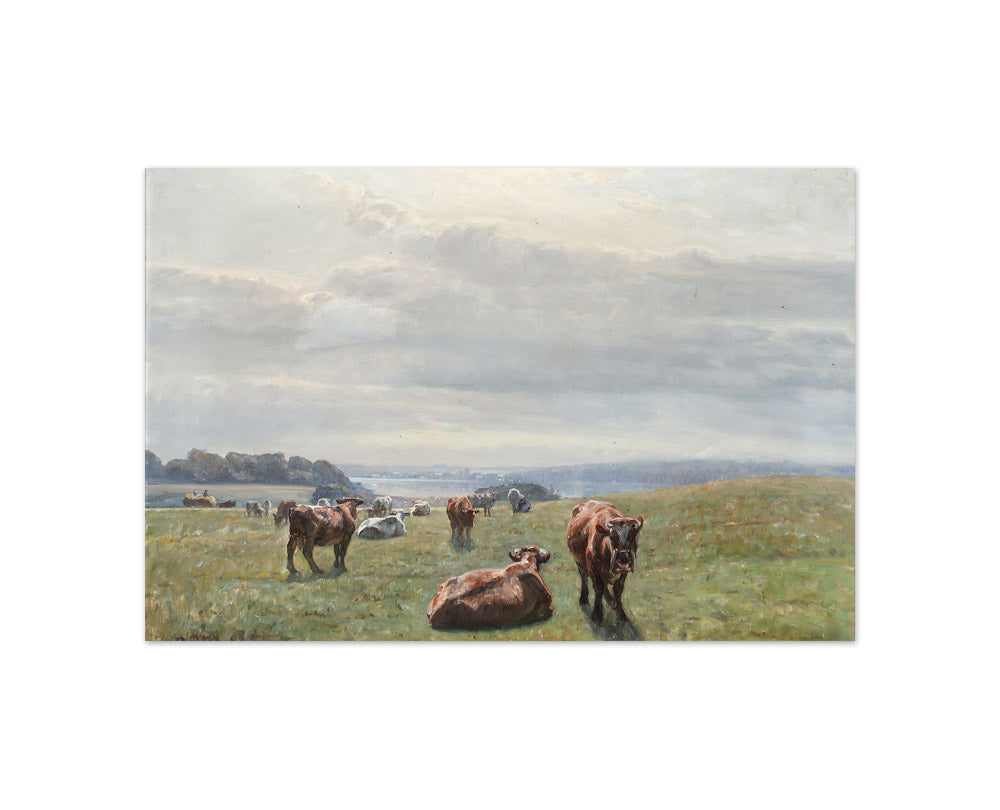 N.P. Mols - Field with Grazing Cows - Compact / Full Bleed / No Frame