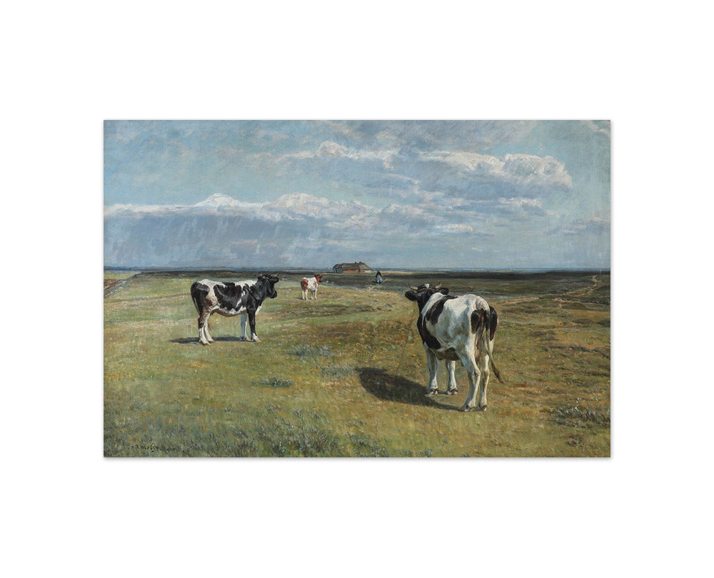 N.P. Mols - The Cows Must Be Milked - Compact / Full Bleed / No Frame