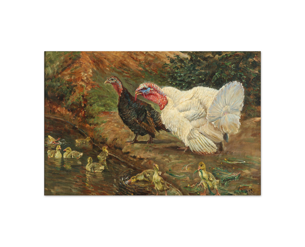 N.P. Mols - Turkeys with Chicks by the Pond - Compact / Full Bleed / No Frame