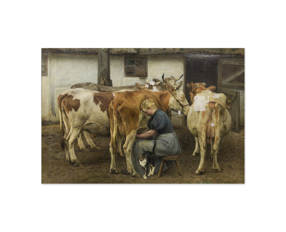 N.P. Mols - Milking the Cows - Compact / Full Bleed / No Frame