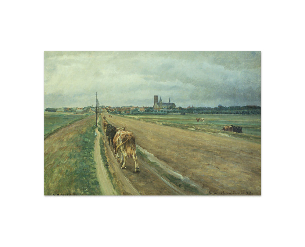 N.P. Mols - Ribe viewed from the road to Southern Jutland - Compact / Full Bleed / No Frame