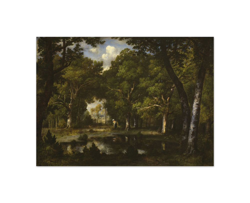 Narcisse Virgile Díaz de la Peña - Pond in the Woods - Compact / Full Bleed / No Frame