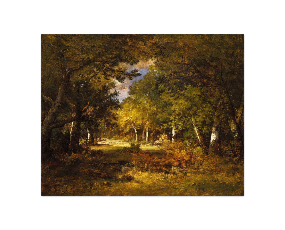 Narcisse-Virgile Diaz de la Peña - Forest Scene - Compact / Full Bleed / No Frame