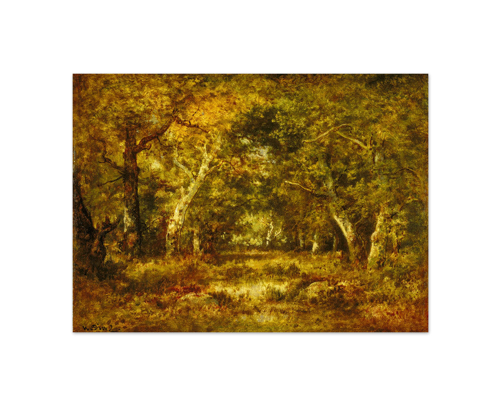 Narcisse Virgile Diaz de la Peña - Autumn, Forest Interior - Compact / Full Bleed / No Frame