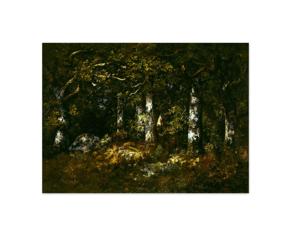 Narcisse-Virgilio Díaz de la Peña - Forest of Fontainebleau - Compact / Full Bleed / No Frame