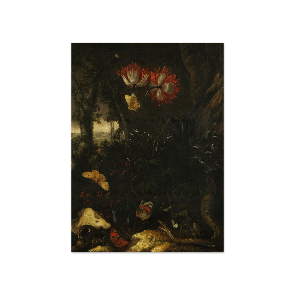 Otto Marseus van Schrieck - Forest Still Life with Flowers, Butterflies, and Snake - Compact / Full Bleed / No Frame
