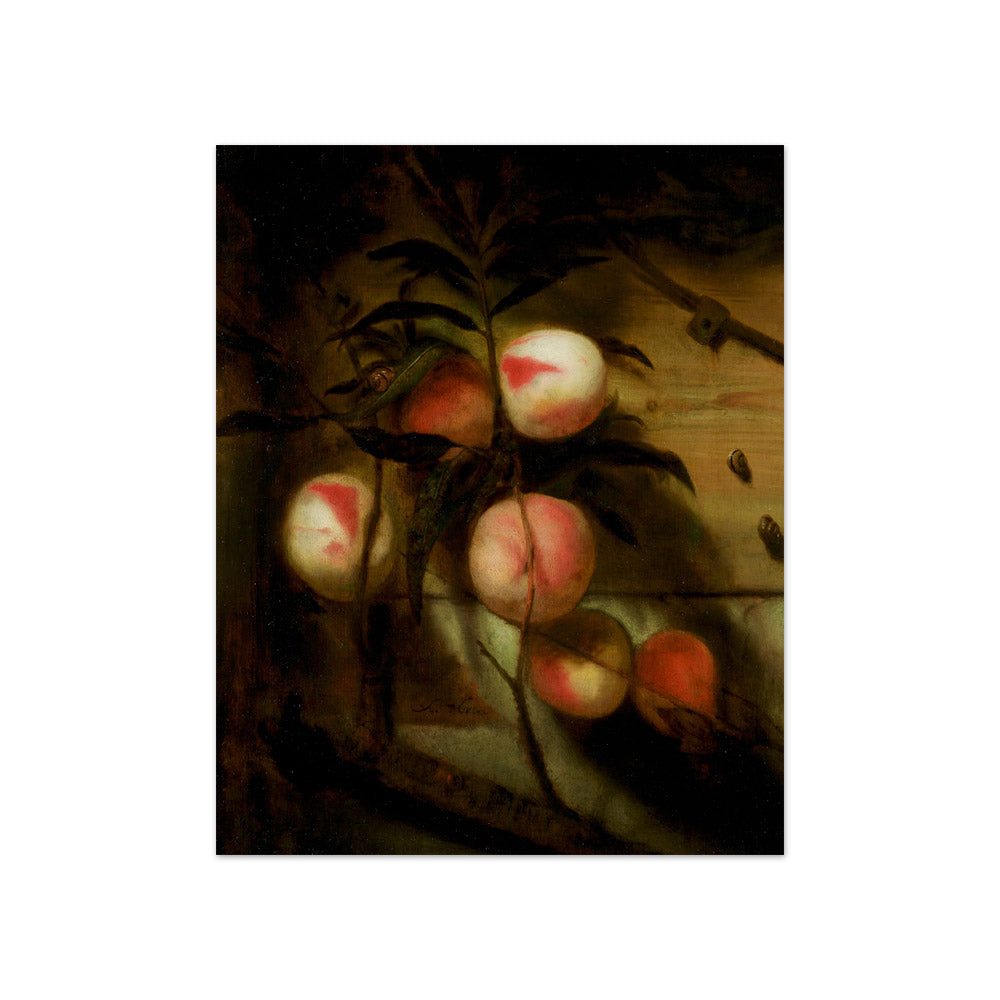 Nicolaes Maes - Still Life with Peaches - Compact / Full Bleed / No Frame