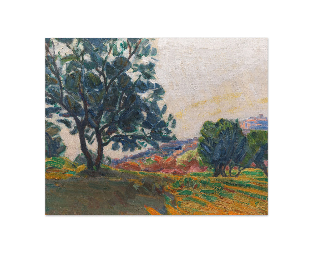 Niels Larsen Stevns - Olive Grove at Cagnes - Compact / Full Bleed / No Frame