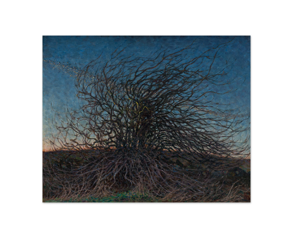 Nils Kreuger - Willow - Compact / Full Bleed / No Frame