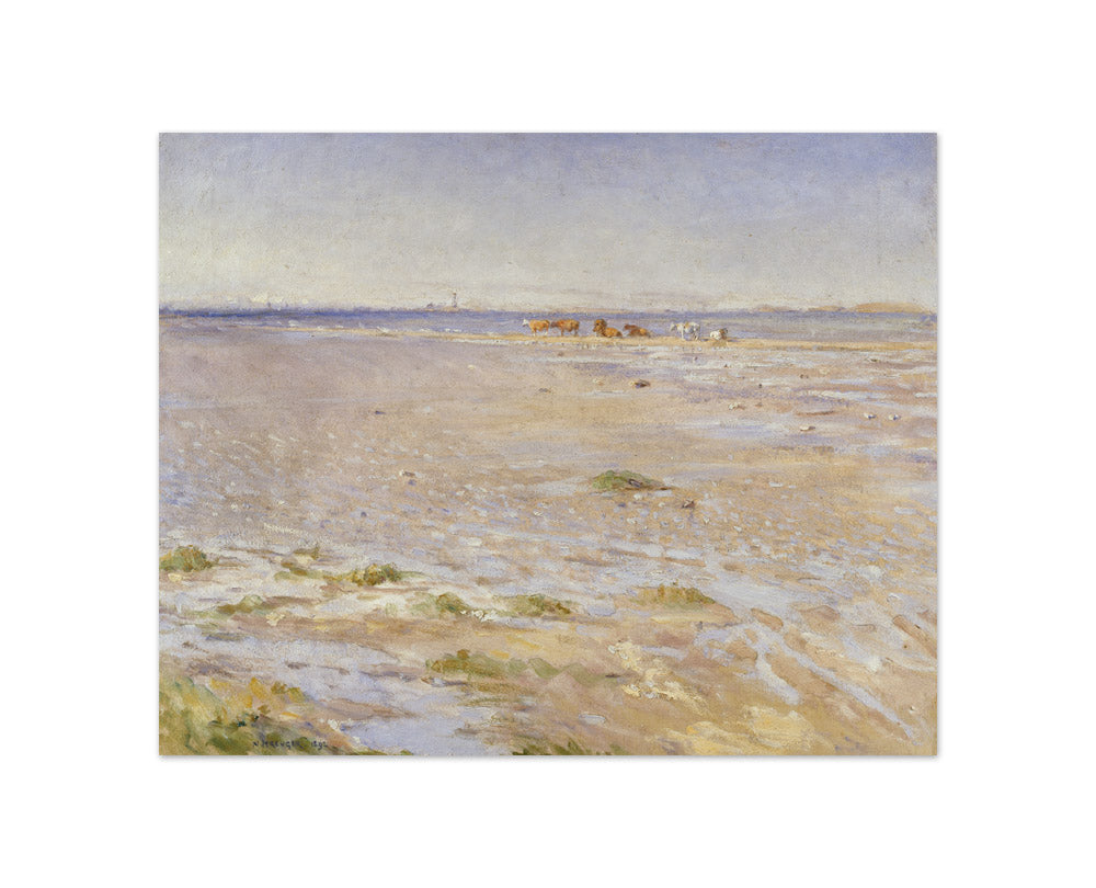 Nils Kreuger - Coastal Scene. Motif from Varberg - Compact / Full Bleed / No Frame