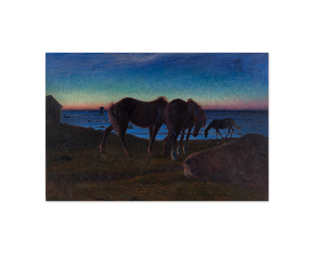 Nils Kreuger - Grazing by the Shore - Compact / Full Bleed / No Frame